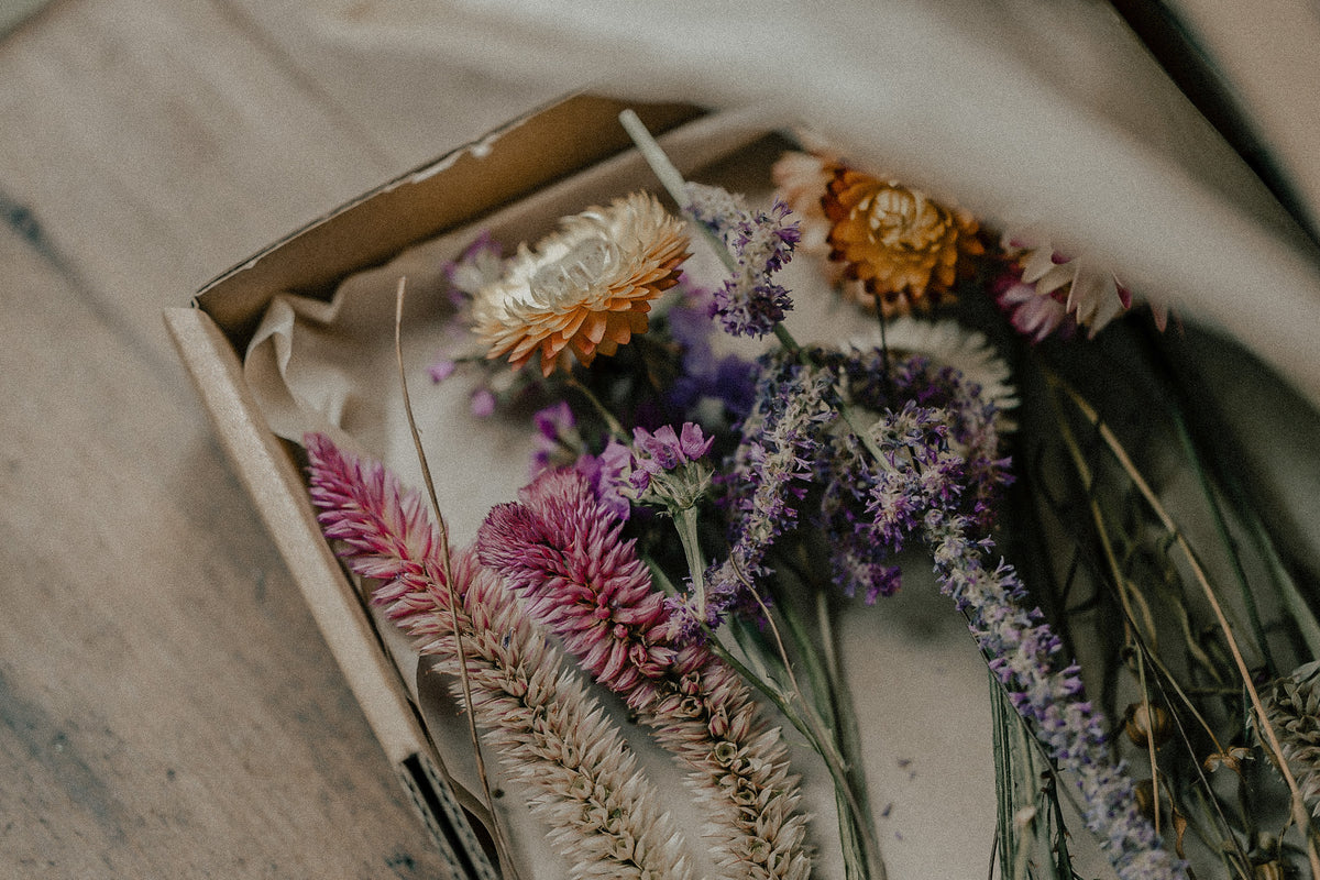 harvest box